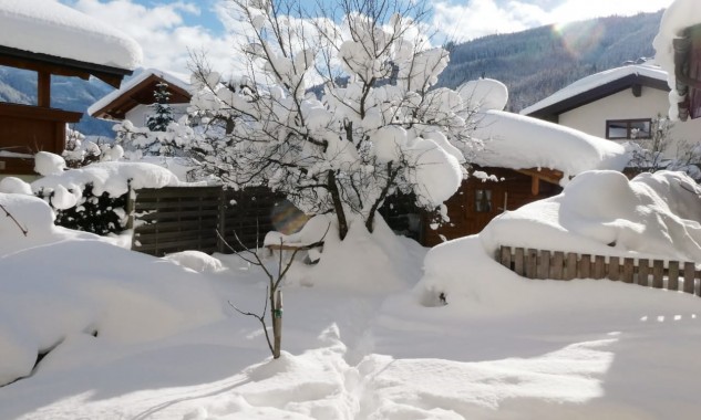 Tief verschneit unser Garten